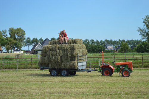 farm  haystack  countryside