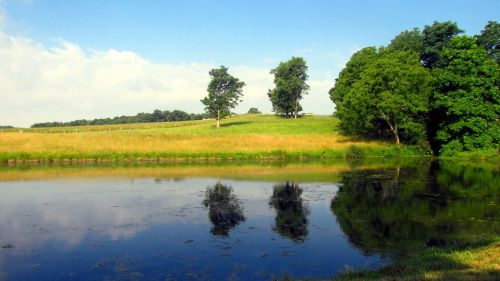 farm pond summer