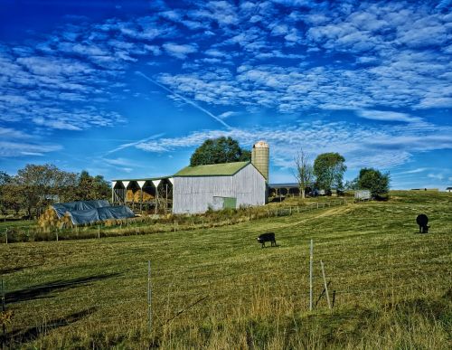 farm rural sky