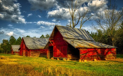 farm  georgia  sky