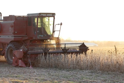 farm  soybean  harvest