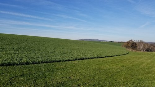 farm  dane county  farmers