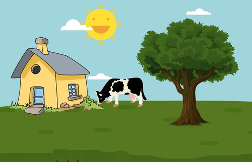 farm  cow  house