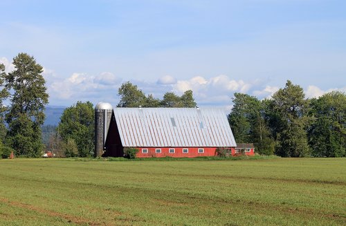 farm  barn  silo