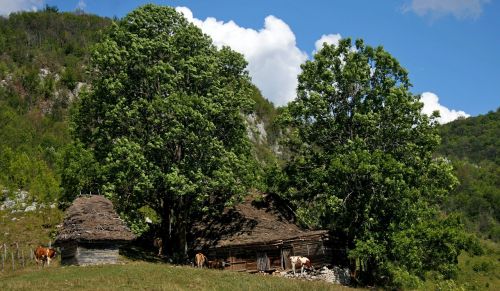 farm landscape natural