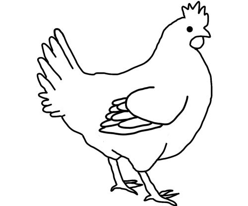 farm animals chicken