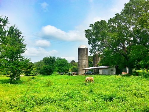 farm granja puerto rico