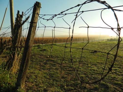 farm fence rural