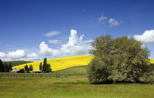 farm agriculture rural