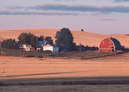 farm landscape rural