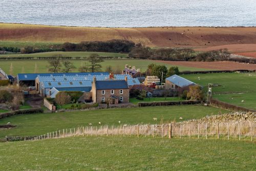 farm farmland scenic