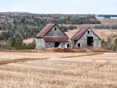 Farm Buildings