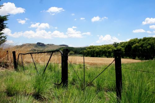 Farm Gate And Meadow