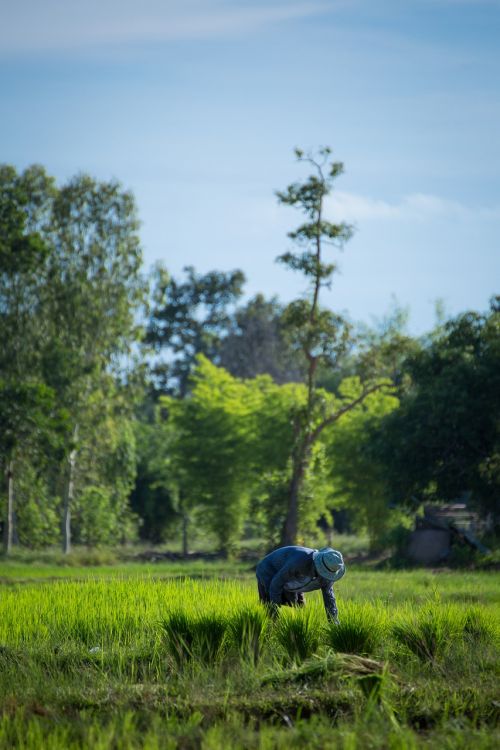 farmer thailand udon thani