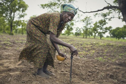 farmer africa woman