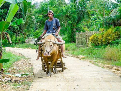 farmer ride farm