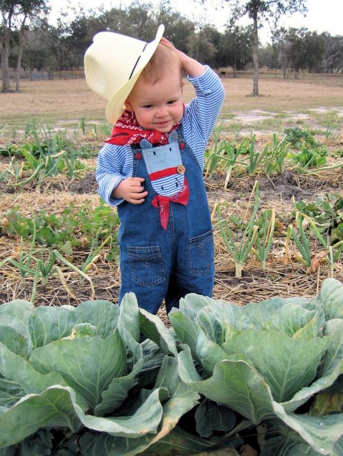 farmer child cabbage