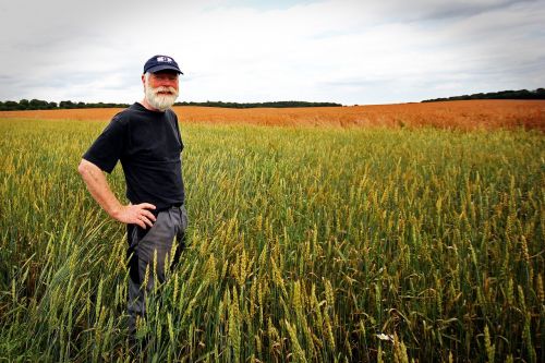 farmer grain food