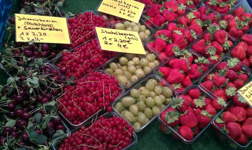 farmers local market fruits fruit