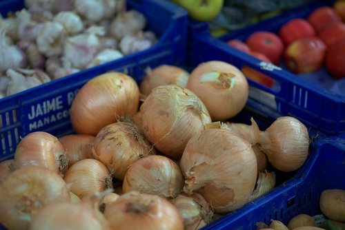 farmers local market  onion  vegetables