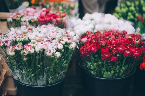 farmers market flowers florist