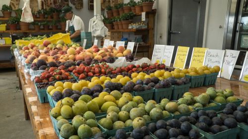 farmers market fruit vegetable