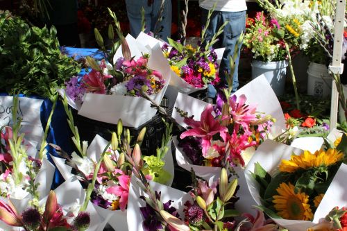 Farmers&#039; Market Fresh Flowers