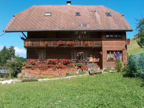 farmhouse geranium rustic