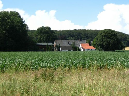 farmhouse home truss