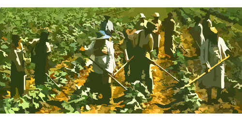 farming field workers