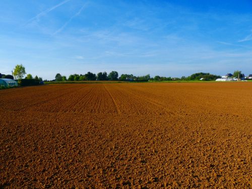 Farmland