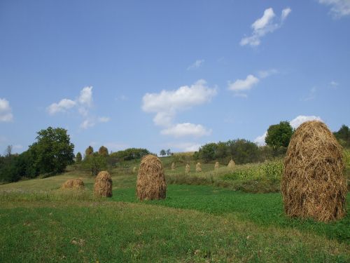 farmland haystacks countryside