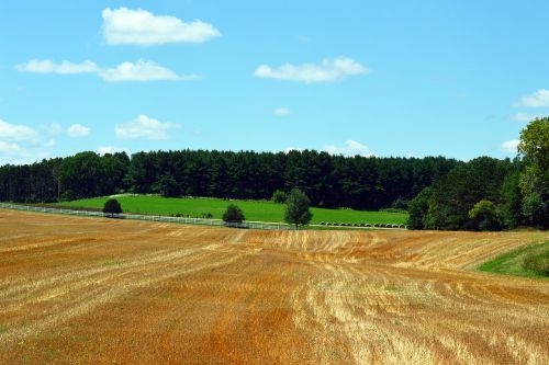 farmland farm field farm