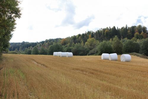 farmland field hay bales