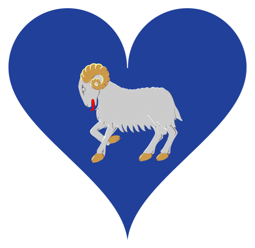 färöer sheep's islands love