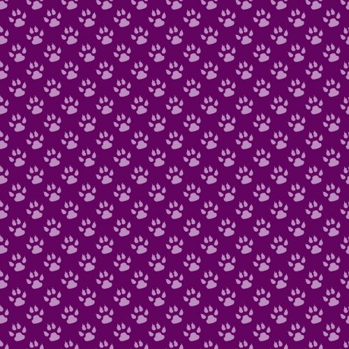 fashion purple transparent