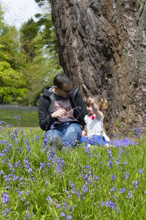 father daughter bluebells