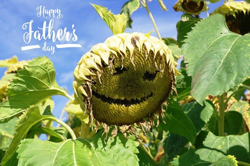 father's day  sunflower  happy