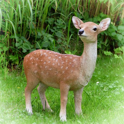 fawn roe deer decoration