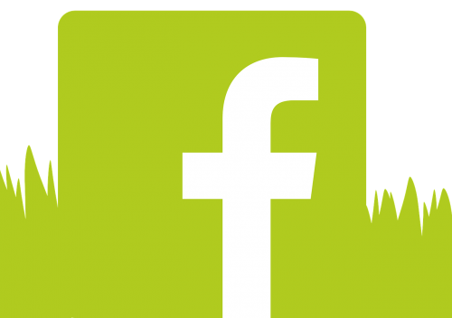 fb facebook logo