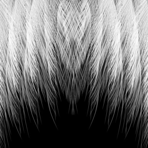 feather graphic design background