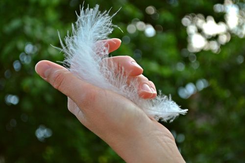 feather plume hand