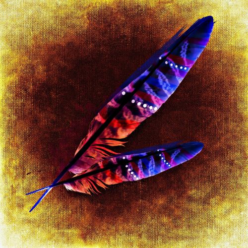 feather bird feathers abstract