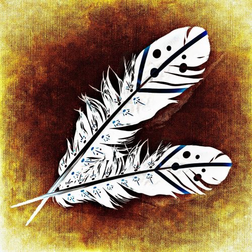 feather bird feathers abstract