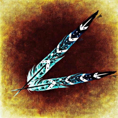 feather bird feathers abstract