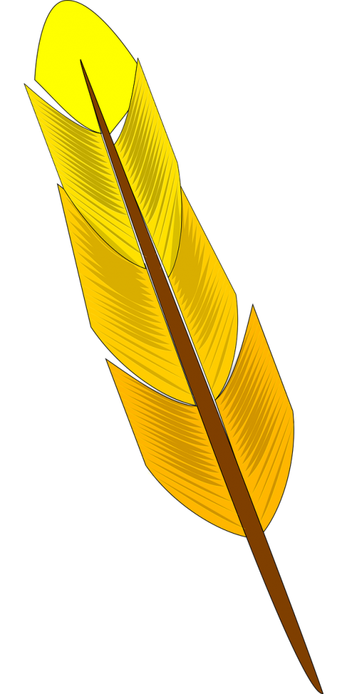 feather yellow bird