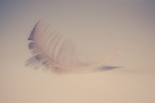 feather soft sweet