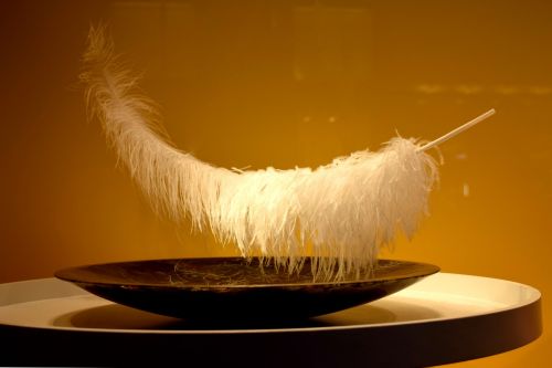 feather plate