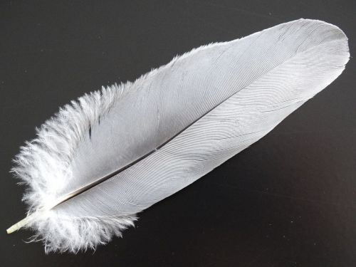 feather light filigree