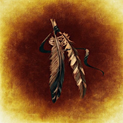 feather indian brown